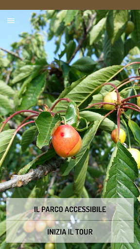 Il Parco accessibile
