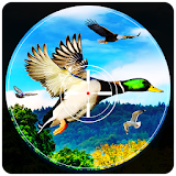 Birds Hunter 2017 icon