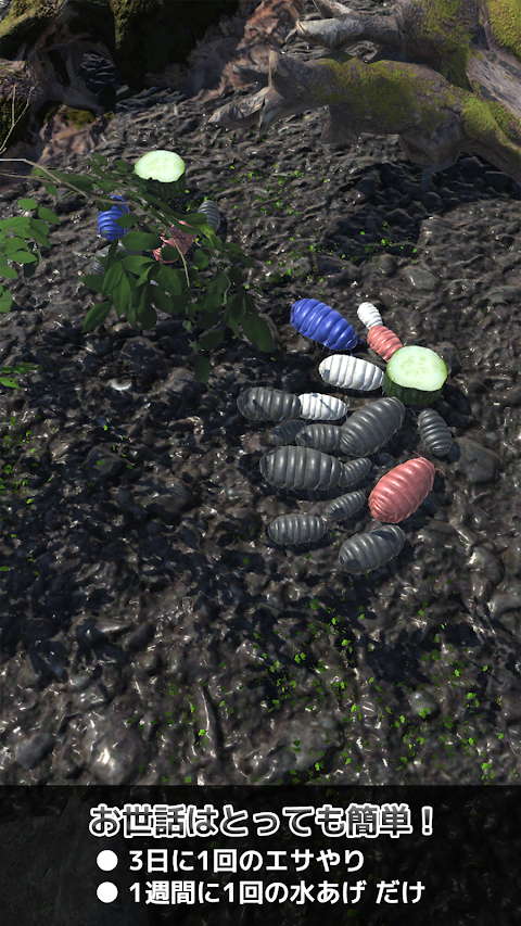 ダンゴムシといっしょ - 癒し系放置育成ゲームのおすすめ画像2