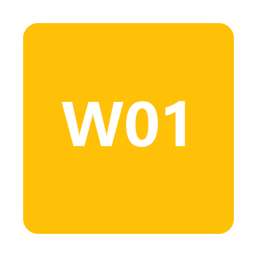 W01 Download on Windows