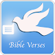 Bible Verses Daily Laai af op Windows