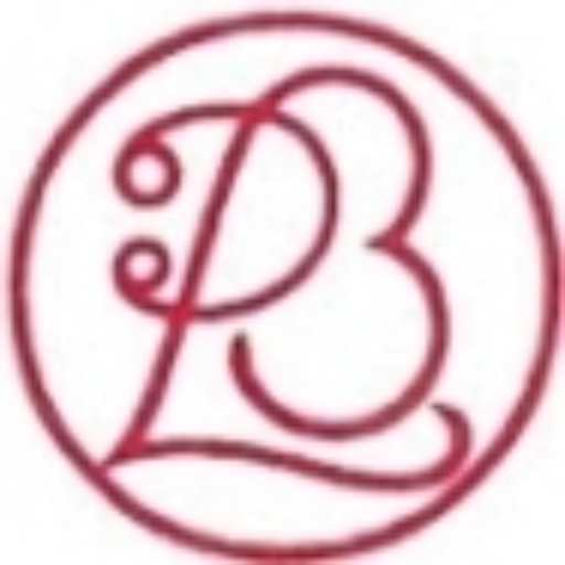 PBLSpace logo