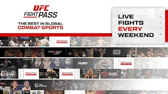 UFC screenshot 1
