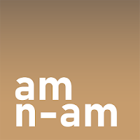 AM / N-AM