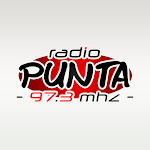 Cover Image of ダウンロード Radio Punta San Luis  APK