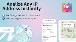 screenshot of IP Analyzer - Whois Lookup
