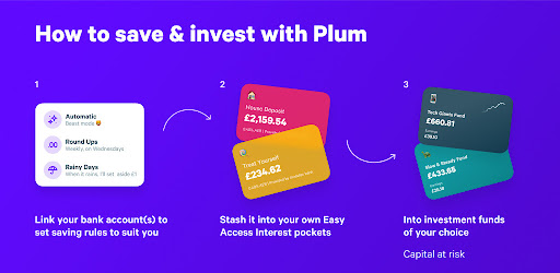 plum investment