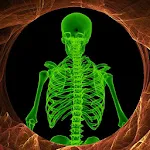Cover Image of Download Wall Scanner Xray Prank  APK