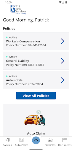 BIS Risk Services Screen 2