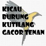 Cover Image of Download KICAU BURUNG KUTILANG GACOR TENAN 2.0 APK