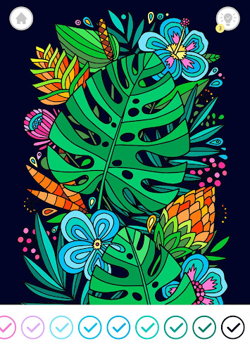 Enjoy Color by Number