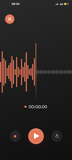 Voice Recorder Screen 2