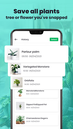 Scan Plant ID: Plant identification free- Tree app  screenshots 4