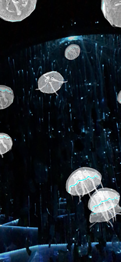 Arcadia Earth AR LAS VEGAS