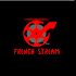 French Stream Installeur2.4