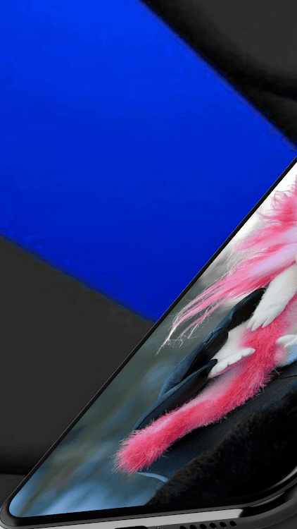 Axolotl Wallpaper Real - 2.0.0 - (Android)