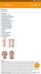 Dorland's Gray's Pocket Atlas of Anatomy