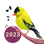 Cover Image of Download Bird Calls, Sounds & Ringtones  APK