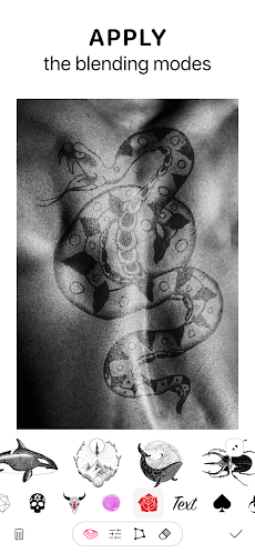 Tattoo — あなたの次のタトゥーを探します. 入れ墨.のおすすめ画像5