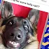 9GAG Funny gifs, pics, fresh memes & viral videos 6.105.06 Pro+ APK Mod Extra