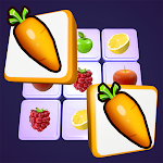 Cover Image of Download Onnect - Pair Matching Puzzle 8.3.0 APK