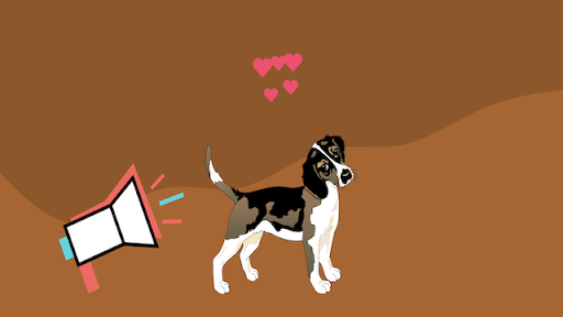 Animal Doctor Screen 3