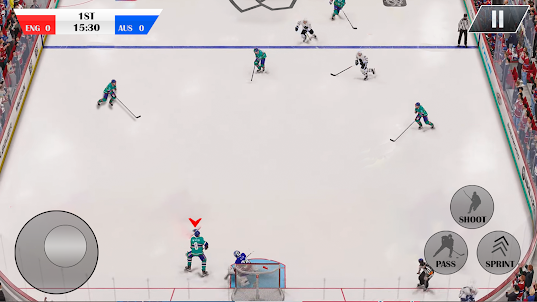 Ice Hockey Games 3D Ice Rage