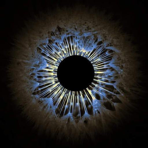 EyetoAll logo