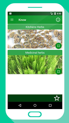 HEALTHY HERBS - Herb Guide App Screen 2