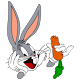 Carrots Bunny
