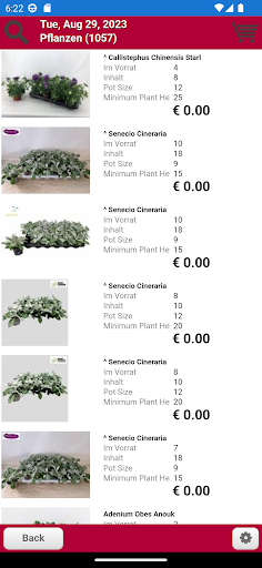 Blumen von Maat Screen 2