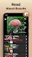 screenshot of Mushroom Identification