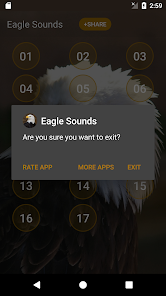 Eagle Sounds And Ringtone - Apps On Google Play