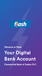 screenshot of FLASH Digital Banking