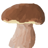 Mushroomizer icon