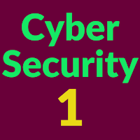 Cyber Security Expert Level 1