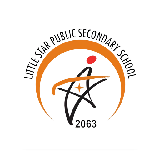 Little Star Public School logo