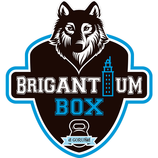Brigantium Box Download on Windows