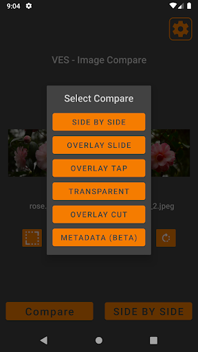 VES - Image and Photo Compare Screen 2