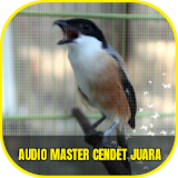 Audio Master Cendet Juara Offline icon
