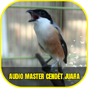 Audio Master Cendet Juara Offline
