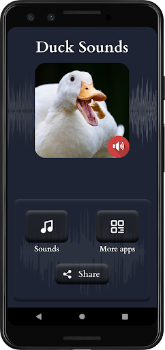 Duck Sounds Screen 2