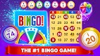 screenshot of Bingo Star - Bingo Games