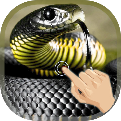 Magic Touch Cobra Attack - Apps on Google Play