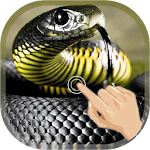 Cover Image of Tải xuống Magic Touch Cobra Attack  APK