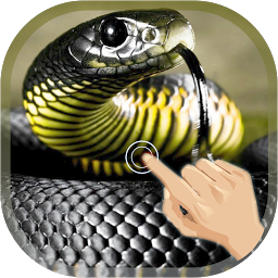 Icon image Magic Touch Cobra Attack