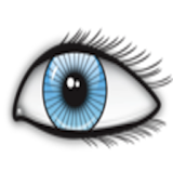 Eye Quiz Lite icon