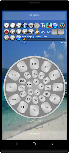 Musical Steel Drums Screenshot 2 - AppWisp.com