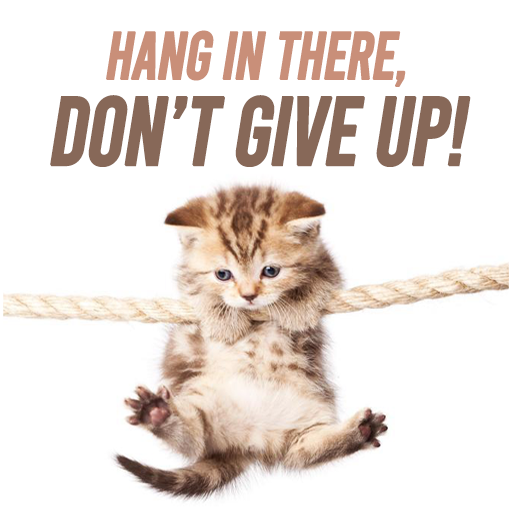 Don't Give Up Quotes  Icon