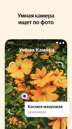 Game screenshot Яндекс — с Алисой apk download